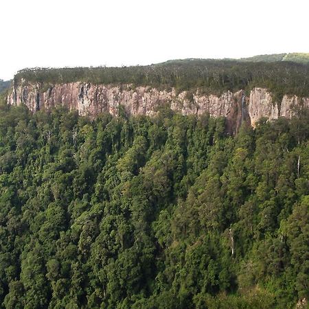 Springbrook Lyrebird Retreat Villa Екстериор снимка