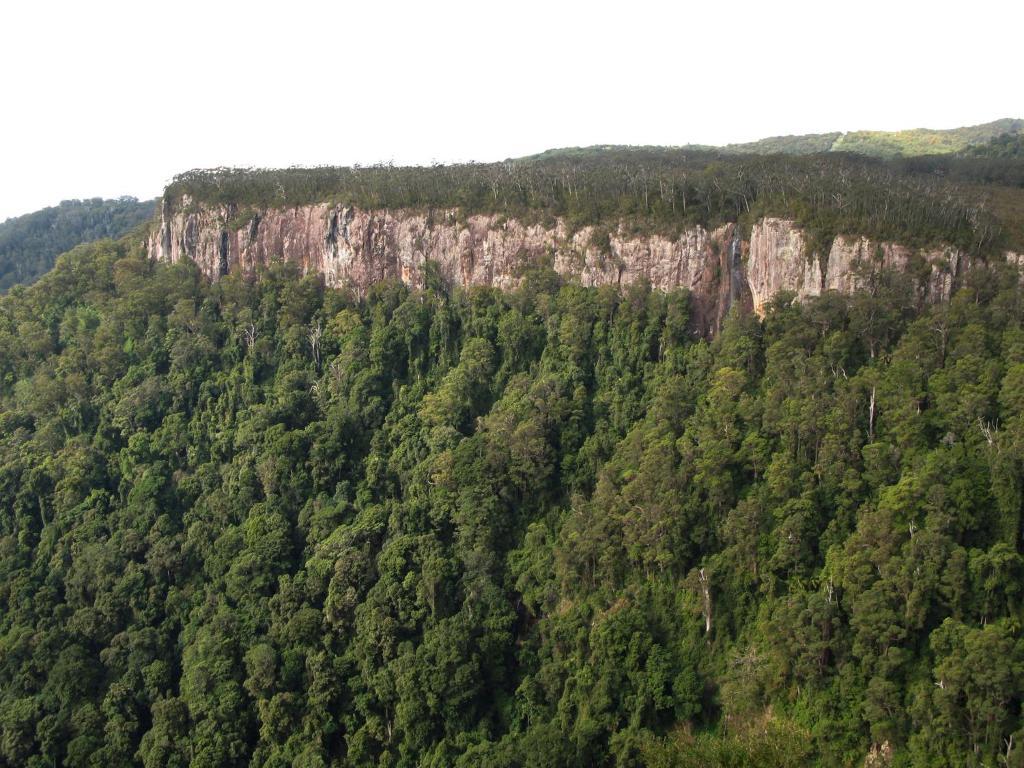 Springbrook Lyrebird Retreat Villa Екстериор снимка
