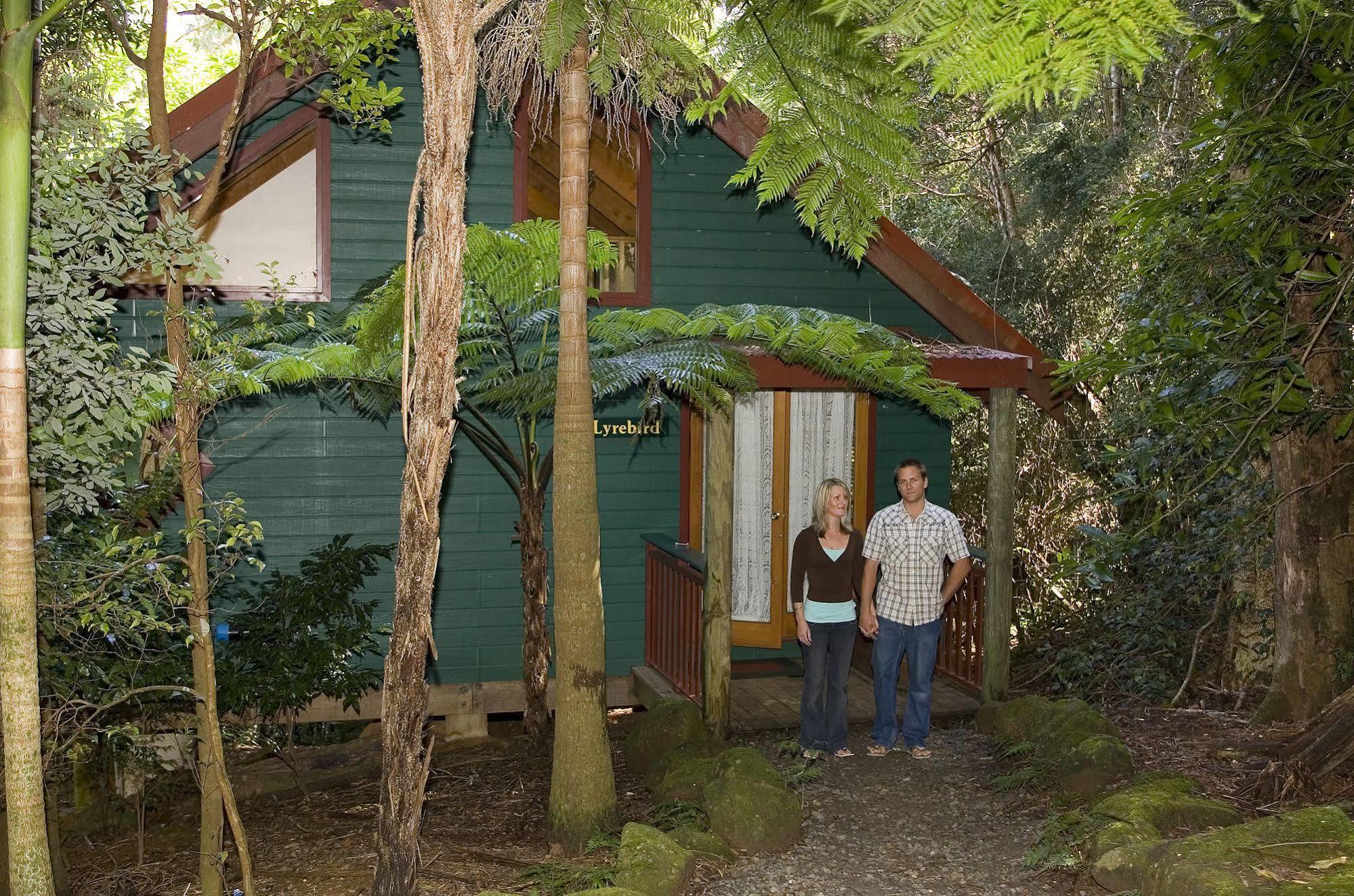 Springbrook Lyrebird Retreat Villa Екстериор снимка