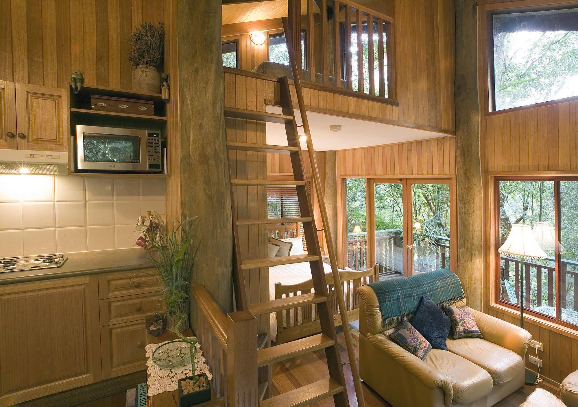 Springbrook Lyrebird Retreat Villa Екстериор снимка