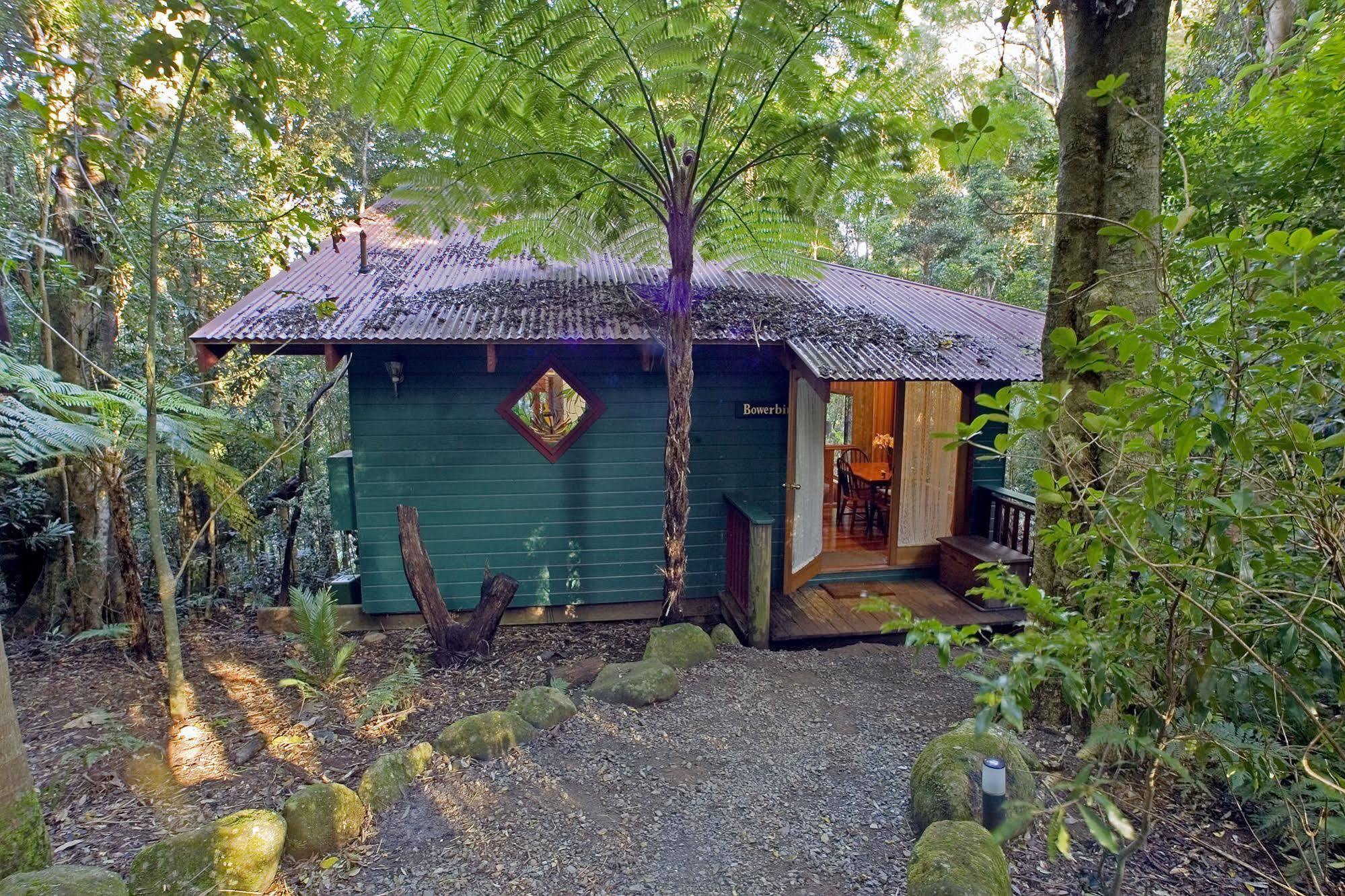 Springbrook Lyrebird Retreat Villa Екстериор снимка