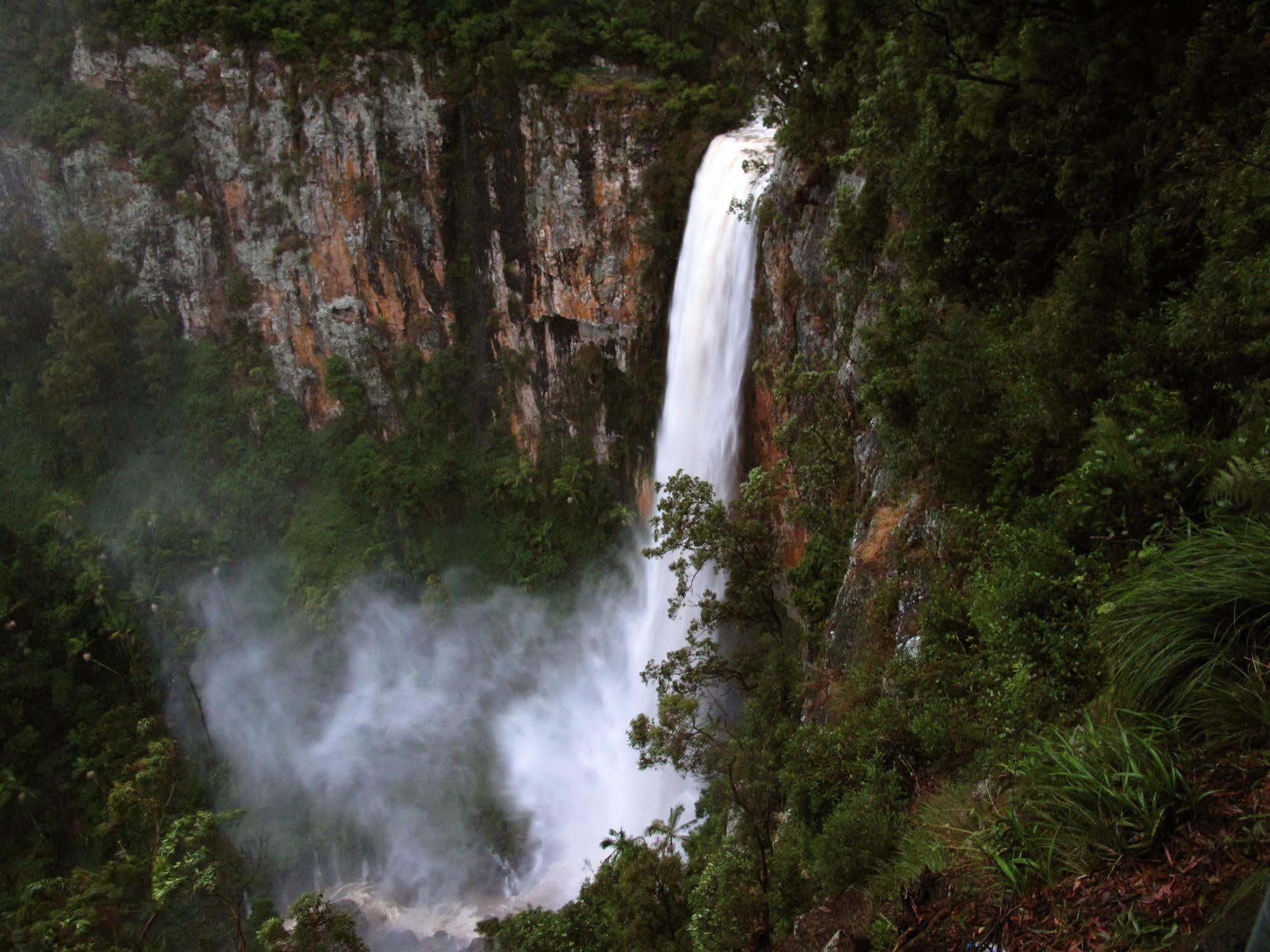 Springbrook Lyrebird Retreat Villa Екстериор снимка