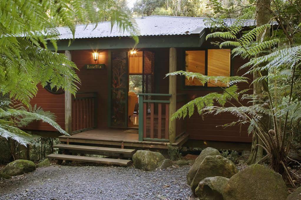 Springbrook Lyrebird Retreat Villa Екстериор снимка